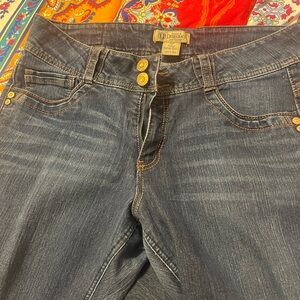 Democracy Rebel Barely Boot Cut Jeans